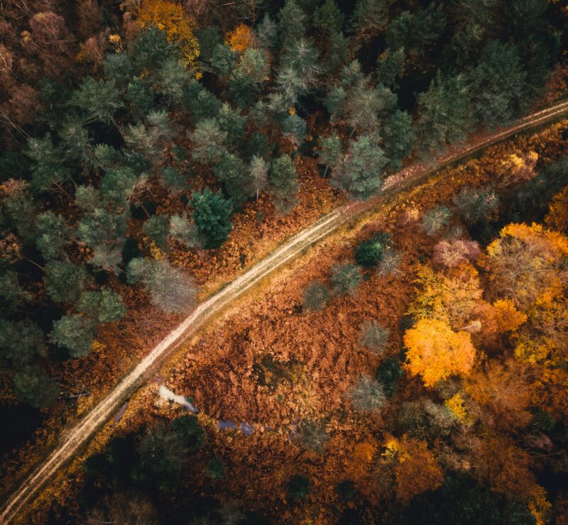 Ivan Bandura 6rr 2fjp41m Unsplash