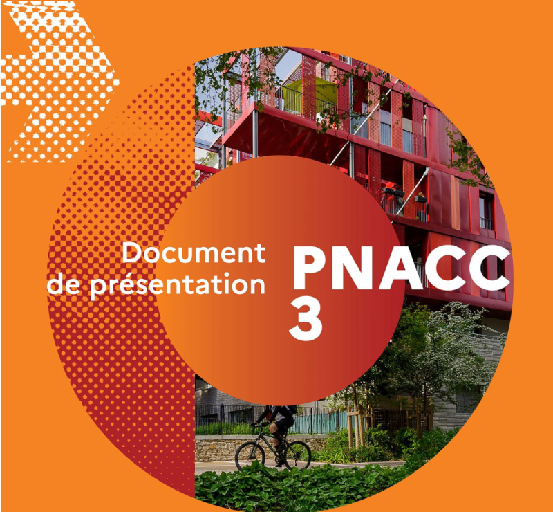 Pnacc Cartouche