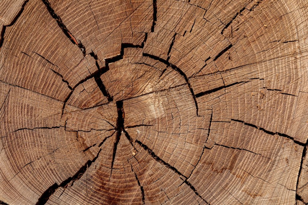 Collab Media D38yye8ly K Unsplash