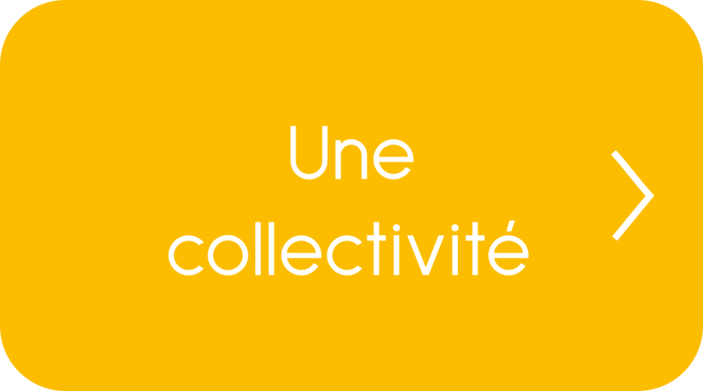 Collectivité