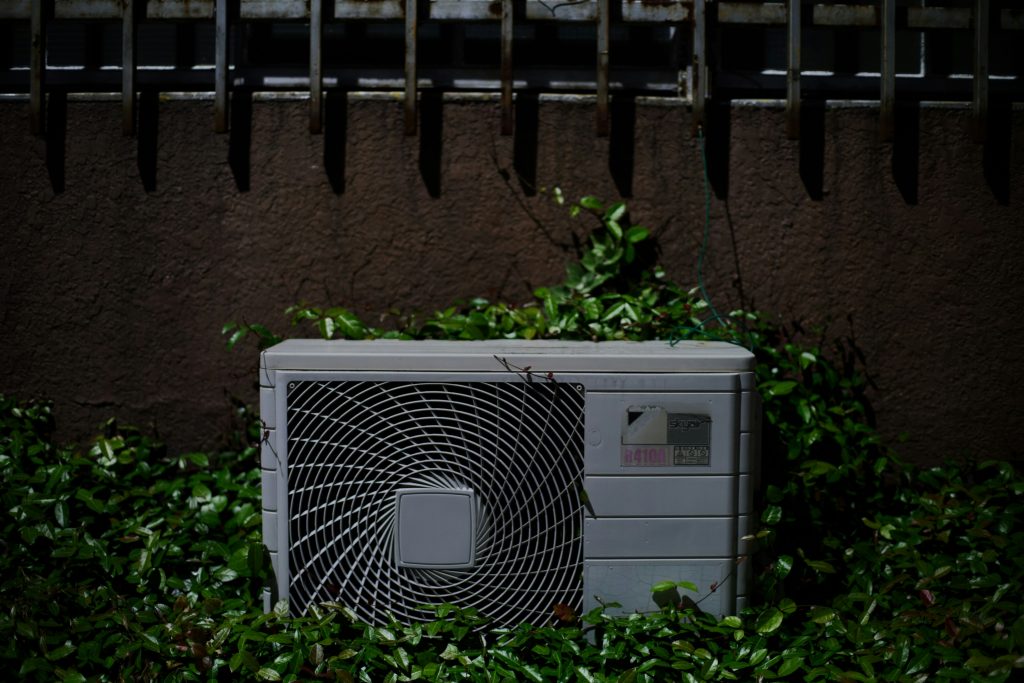 Da Shika 50hl3yoqzuu Unsplash