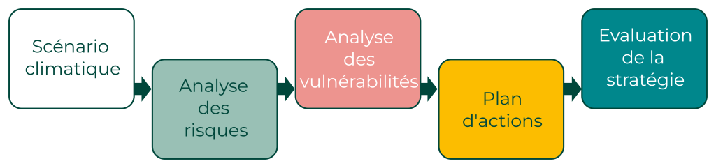 Stratégie Adaptation